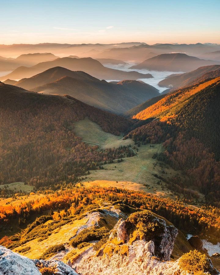 This Is Slovakia tweet media