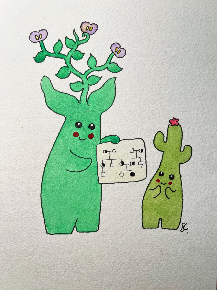 In honour of #GCAD2022 this is a Mendels pea plant genetic counsellor showing autosomal recessive inheritance to a little cactus person. #IAmAGeneticCounsellor #GeneChat #watercolour #genetics #illustration