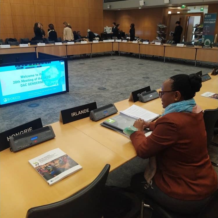 IrlEmbTanzania's tweet photo. Delighted to attend @OECD #Gendernet meeting in Paris, representing Ireland 🇮🇪. #Gendernet helps to improve policies and practices to strengthen gender equality in development programmes and to secure the rights of women and girls. https://t.co/RZ0K8v2yuf