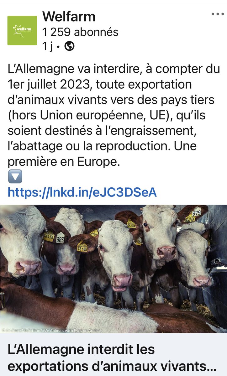 Veau Plaisirs (@plaisirveau) on Twitter photo 