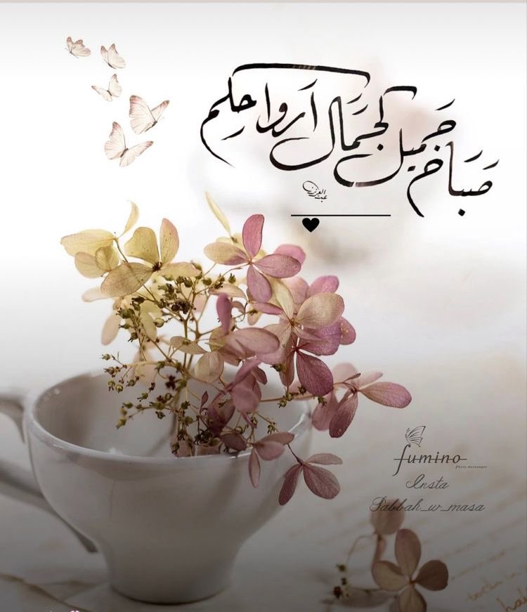 MAAbdullah94's tweet photo. https://t.co/pKPKQDzriT
