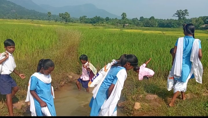 KapalMarndi's tweet photo. At- Begunapata,Po-Chakradharpur,Block-Kaptipada,Dist-Mayurbhanj,Odisha@CMO_Odisha.The students have been facing many problems to go school and Anganwadi.They are requesting to solve the problems.@CMOdisha @EduMinOfIndia @BdoKaptipada @DM_Mayurbhanj @12_baje https://t.co/2D4Wadyy4G