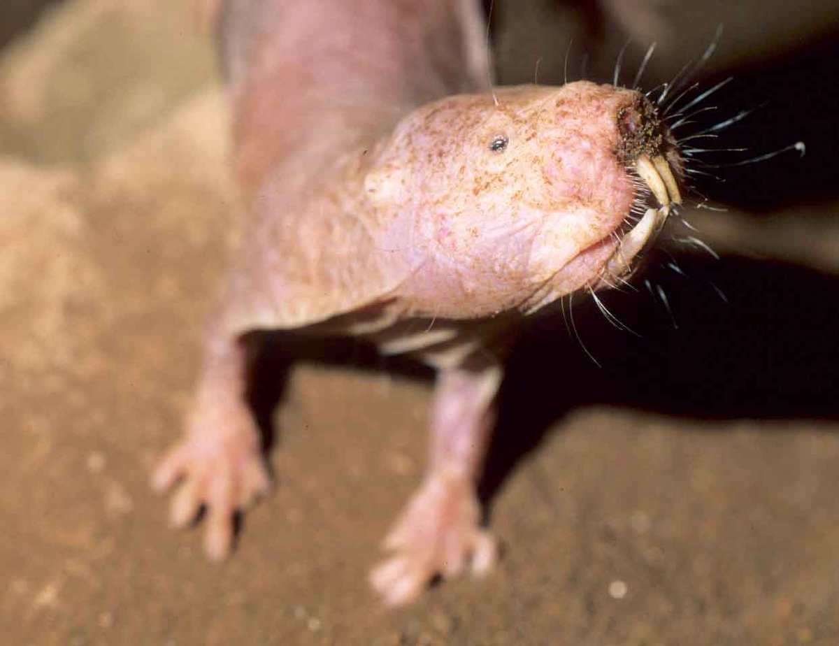 Alex Matimu tweet media