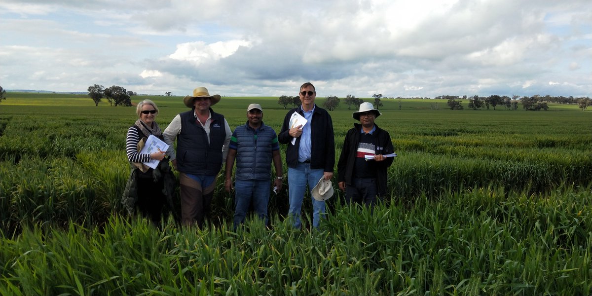 caigeproject's tweet photo. Australian CAIGE Field tour (6th - 12th October 2022) -1/5
#CIMMYT #ICARDA https://t.co/VlubKYh9kV