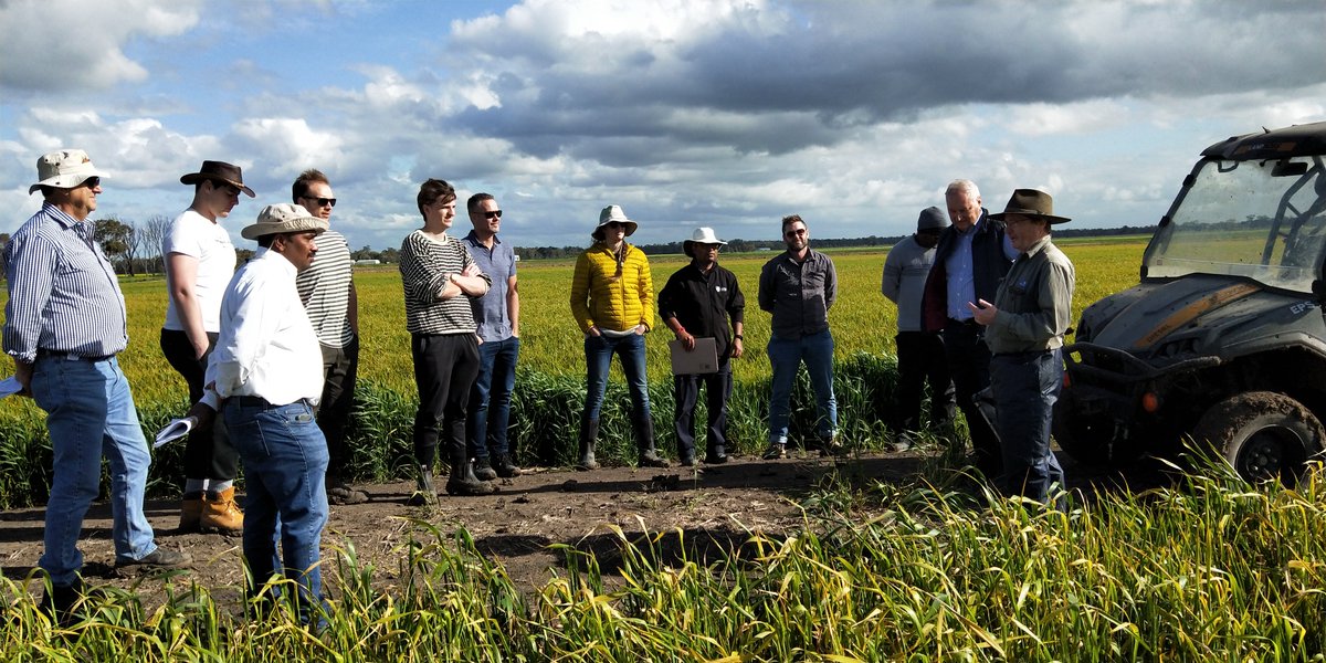 caigeproject's tweet photo. Australian CAIGE Field tour (6th - 12th October 2022) -2/5
#CIMMYT #ICARDA https://t.co/ifoPOsfqzn