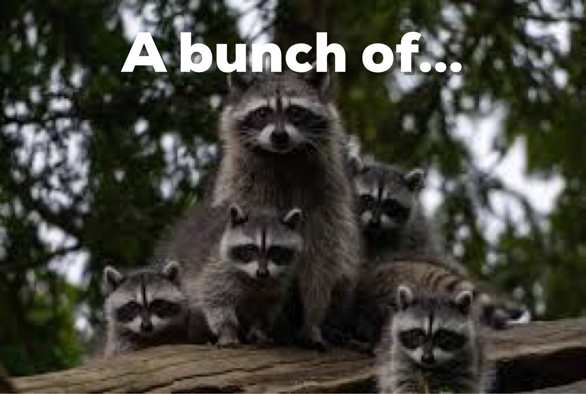 BishopNathanyel's tweet image. To Americas task masters and officers who thought they were clever by publicly whipping our brother Kyrie Irving; you’re all ……