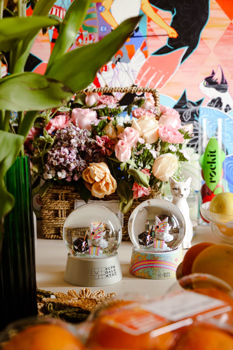 📦🐱BoxcatPlanet🐱🪐 tweet media