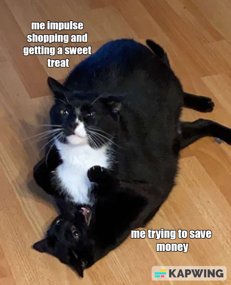 lexiand3's tweet photo. I'm feeling this extra hard right now with all of the holiday sales going on 😅 #MCO335 #strugglecat https://t.co/0L9uZDIoUM