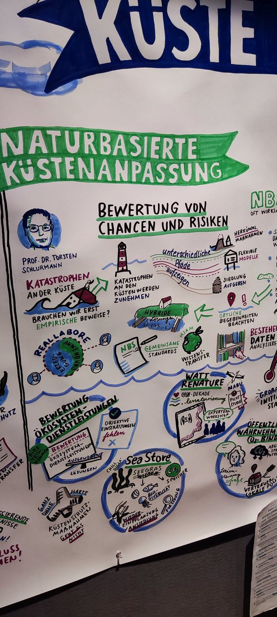 Thank you @KueNO_de @BMBF_Bund @Meeresforschung #DAM for giving me the opportunity to showcase chances and risks of nature-based solution #NbS in coastal protection. Yet, my #keynote has been transcribed into a cartoon-like story. Brilliant!