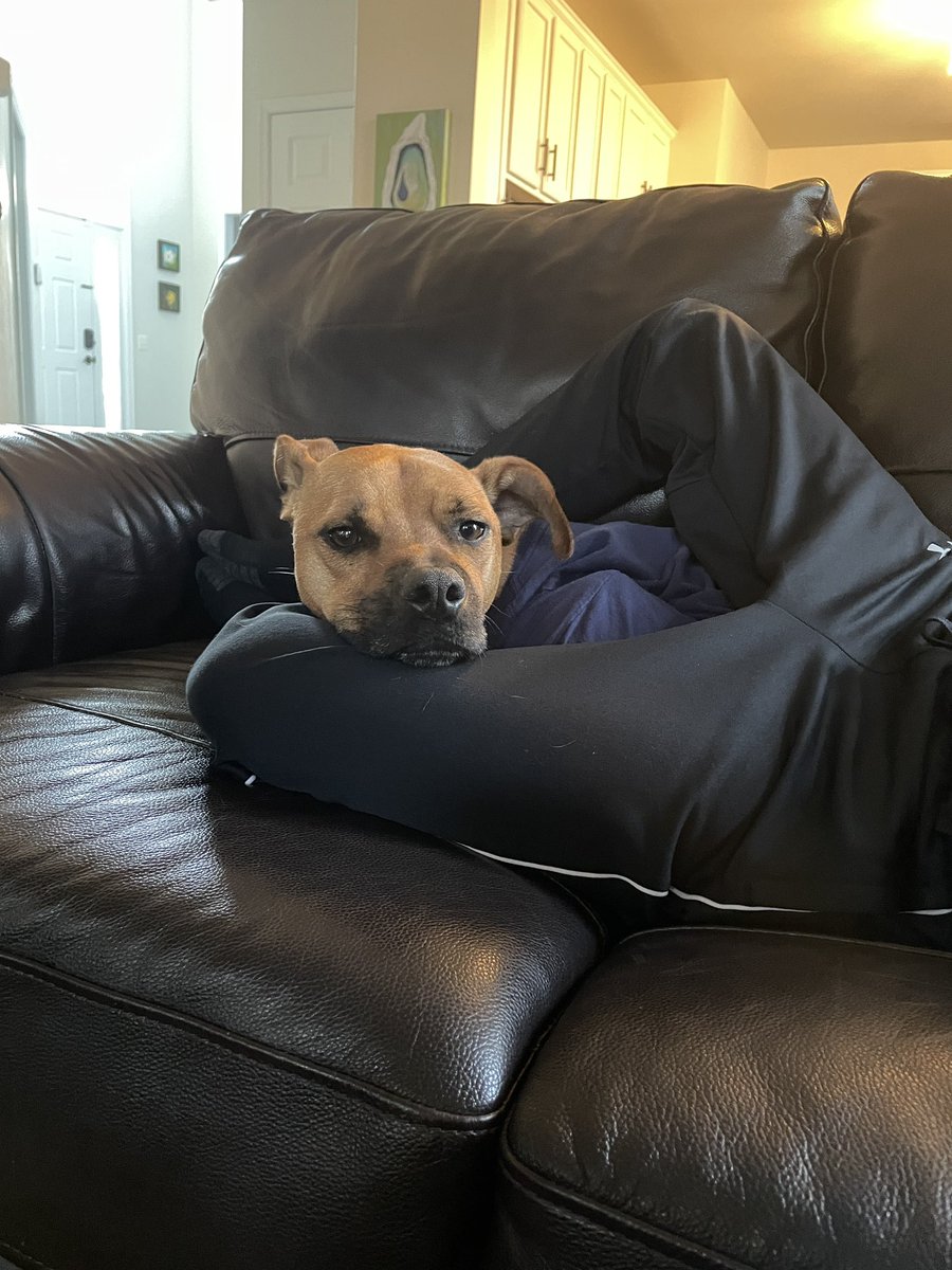 Hamilton tweet media