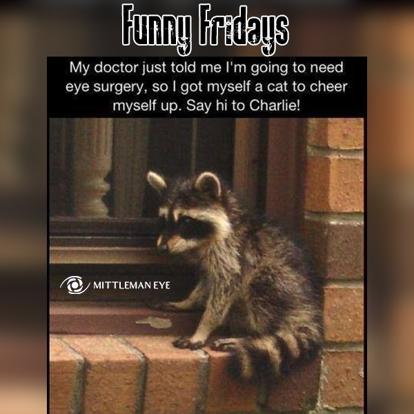 MittlemanEye's tweet photo. It's #FunnyFriday time at #MittlemanEye! 
#MEC2020 #Eyecare https://t.co/DK9KEUASsT