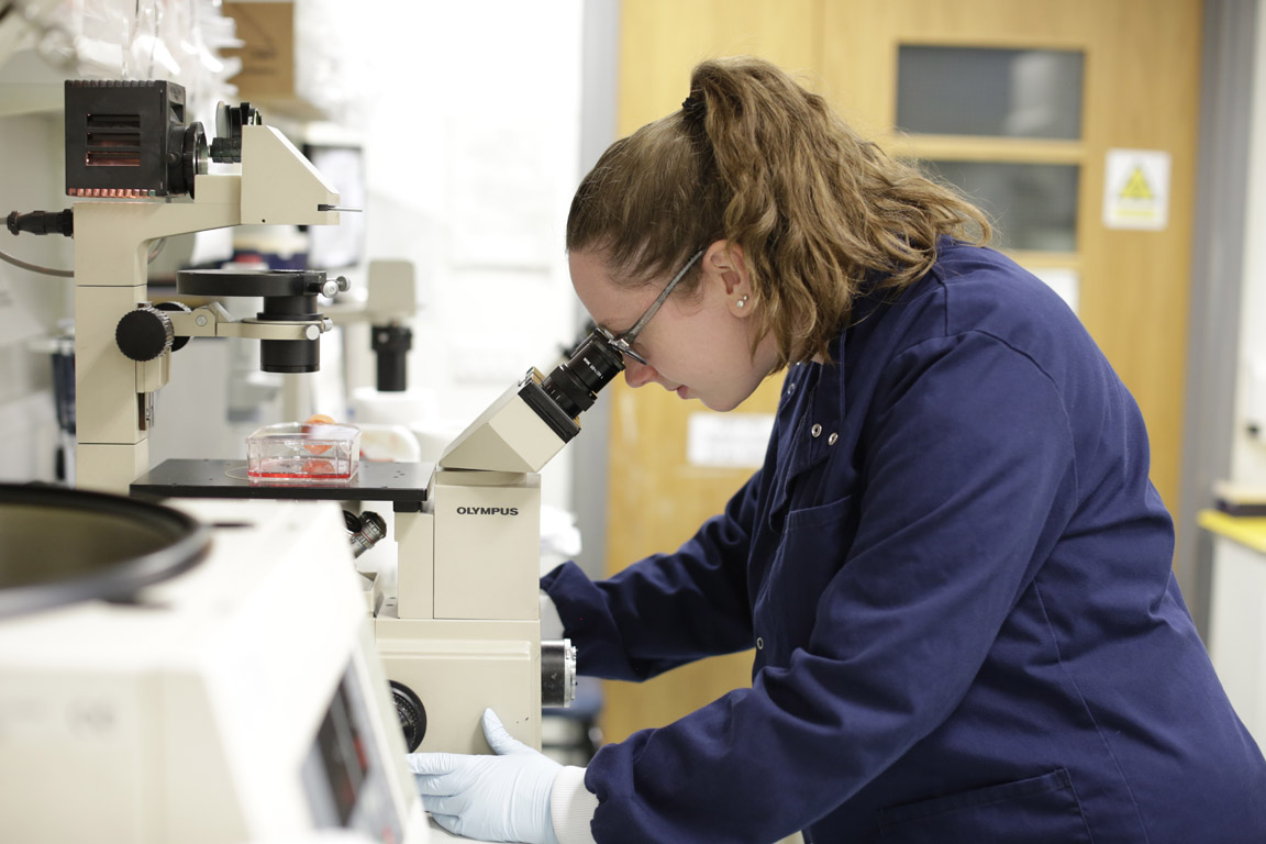 Barts Cancer Institute (Queen Mary) (@qmbci) on Twitter photo Researchers from BCI <a href="/QMULBartsTheLon/">Barts and The London, Queen Mary</a> <a href="/QMUL/">Queen Mary University of London</a>, led by <a href="/TheGroseLab/">Grose Lab</a> <a href="/LabKocher/">KocherLab</a>, have identified a new channel of communication through which non-cancerous cells drive the invasion of cancer cells in #PancreaticCancer <a href="/abigailwilson4/">Abigail Coetzee</a> <a href="/ECarter3D/">Edward Carter</a> (1/4) Researchers from BCI <a href="/QMULBartsTheLon/">Barts and The London, Queen Mary</a> <a href="/QMUL/">Queen Mary University of London</a>, led by <a href="/TheGroseLab/">Grose Lab</a> <a href="/LabKocher/">KocherLab</a>, have identified a new channel of communication through which non-cancerous cells drive the invasion of cancer cells in #PancreaticCancer <a href="/abigailwilson4/">Abigail Coetzee</a> <a href="/ECarter3D/">Edward Carter</a> (1/4)