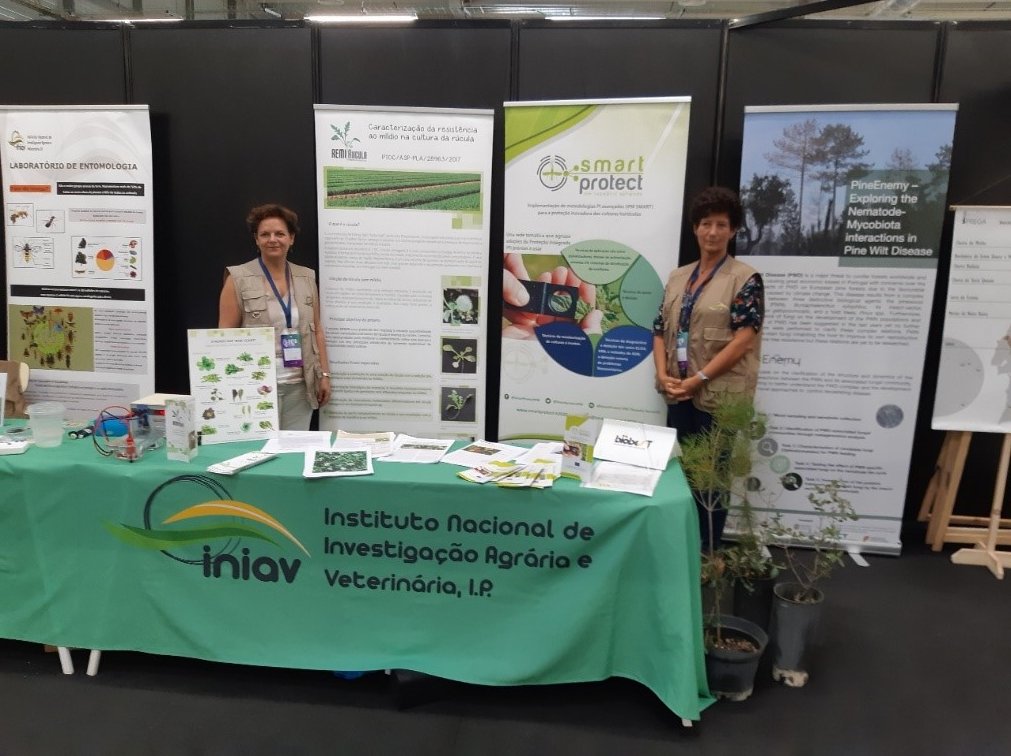 SmartprotectIPM's tweet photo. 👉👉 @SmartprotectIPM and @INIAV_IP were in the International Festival of Science “FICA”, organized by the Oeiras council in Lisbon, Portugal! 🙌🙌 #pest #management #smartprotect #ipm #smart #agriculture #traps https://t.co/5To9r3UldR
