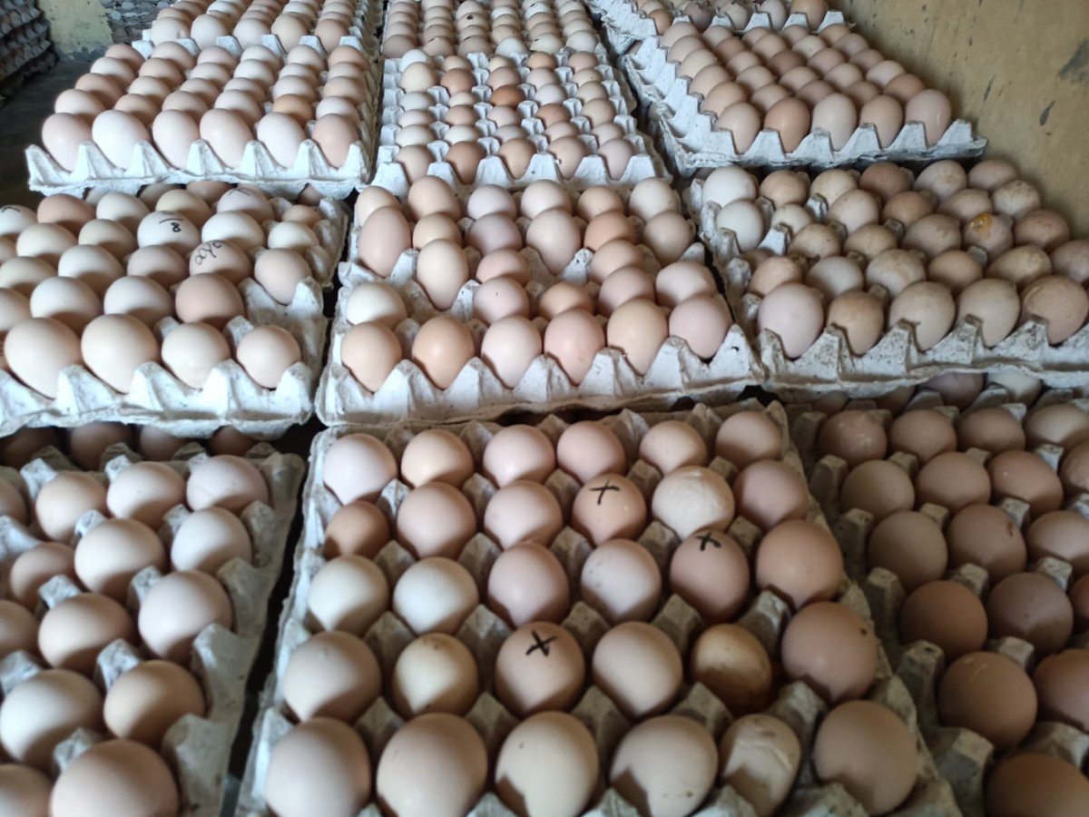 AK Kumar (@akkumar11521542) on Twitter photo 