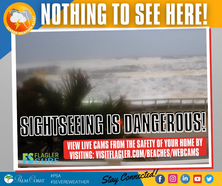 Palm Coast on Twitter "Nothing to see here! Sightseeing is dangerous