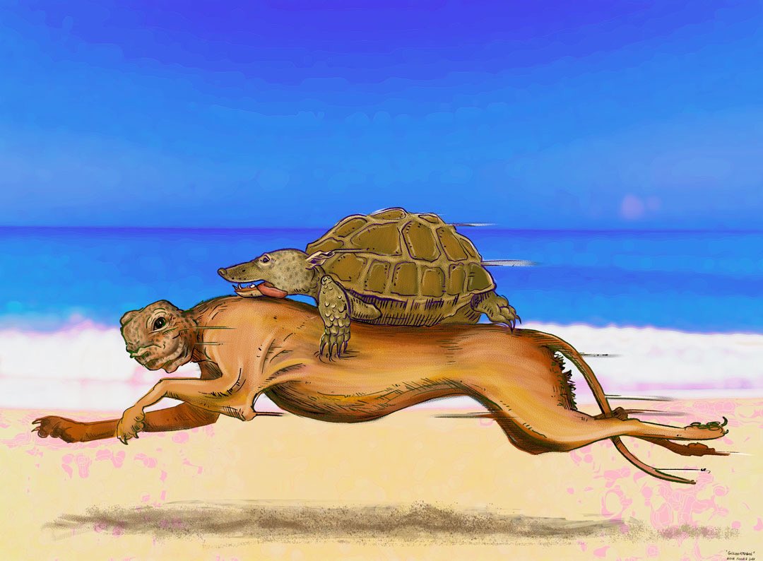 Greyhound dogs turtles on the beach. It’s curious how they race to win at all means! #animalario