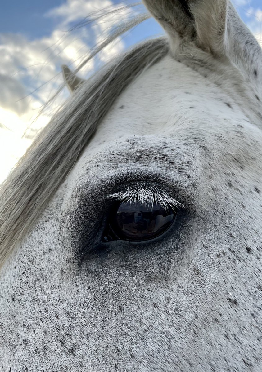 The Leadership Whisperers tweet media