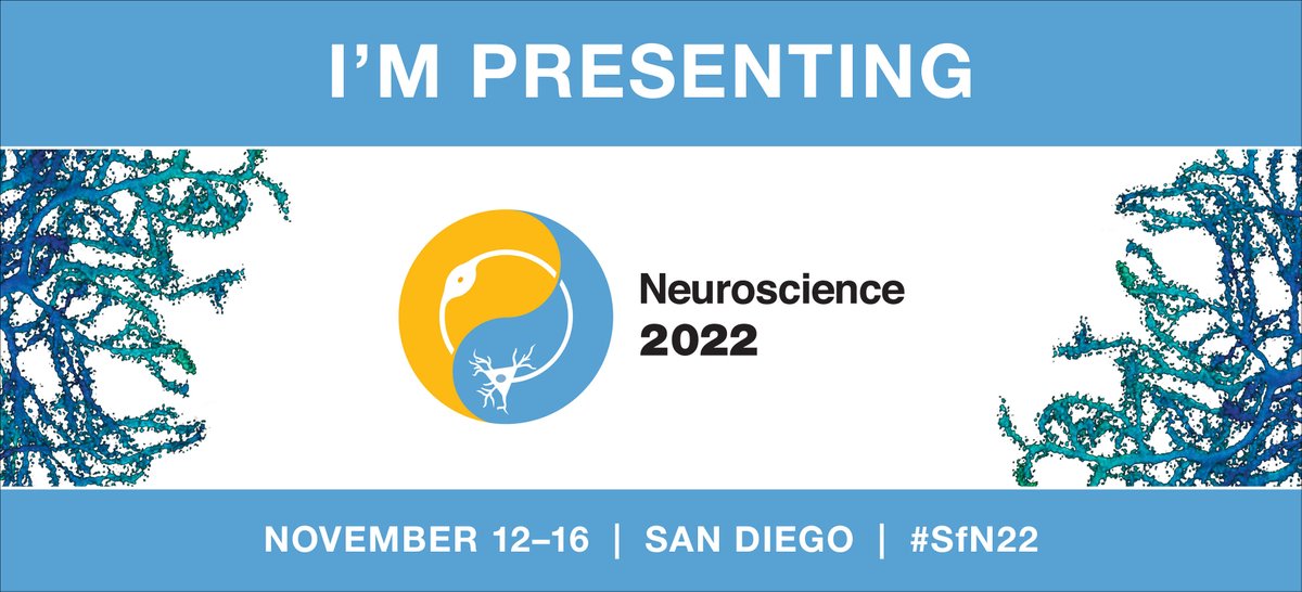 I’m really excited to present my PhD work at #SfN22 as a nanosymposium presentation entitled “Social grooming is controlled by a thalamo-preoptic neuronal pathway”. 

Mon Nov. 14th from 9.00 am
Nanosymposium: 263.05