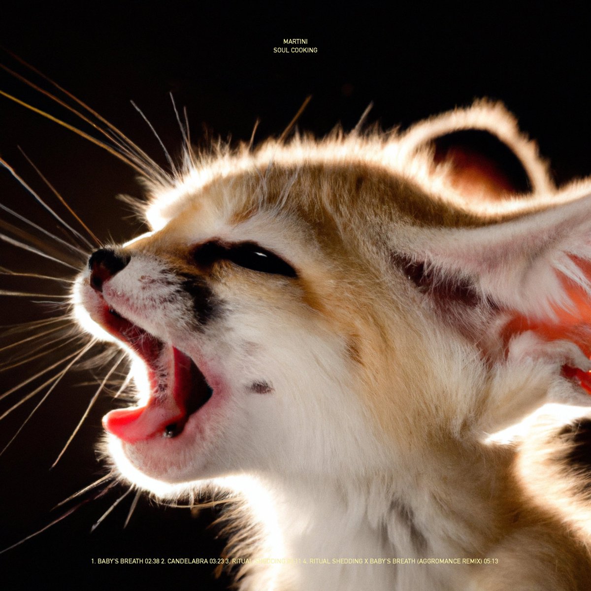 takearestnow's tweet image. Rest Now! returns with a new release
Excited to announce 'Soul Cooking' EP (RN!016) by Martini out December 6th
Featuring remix by Aggromance 
'Candelabra' single out on @SWINEDAILY November 21st

Mastered by Vise
Artwork by Alberto Cattani @cattanialberto 
🪅