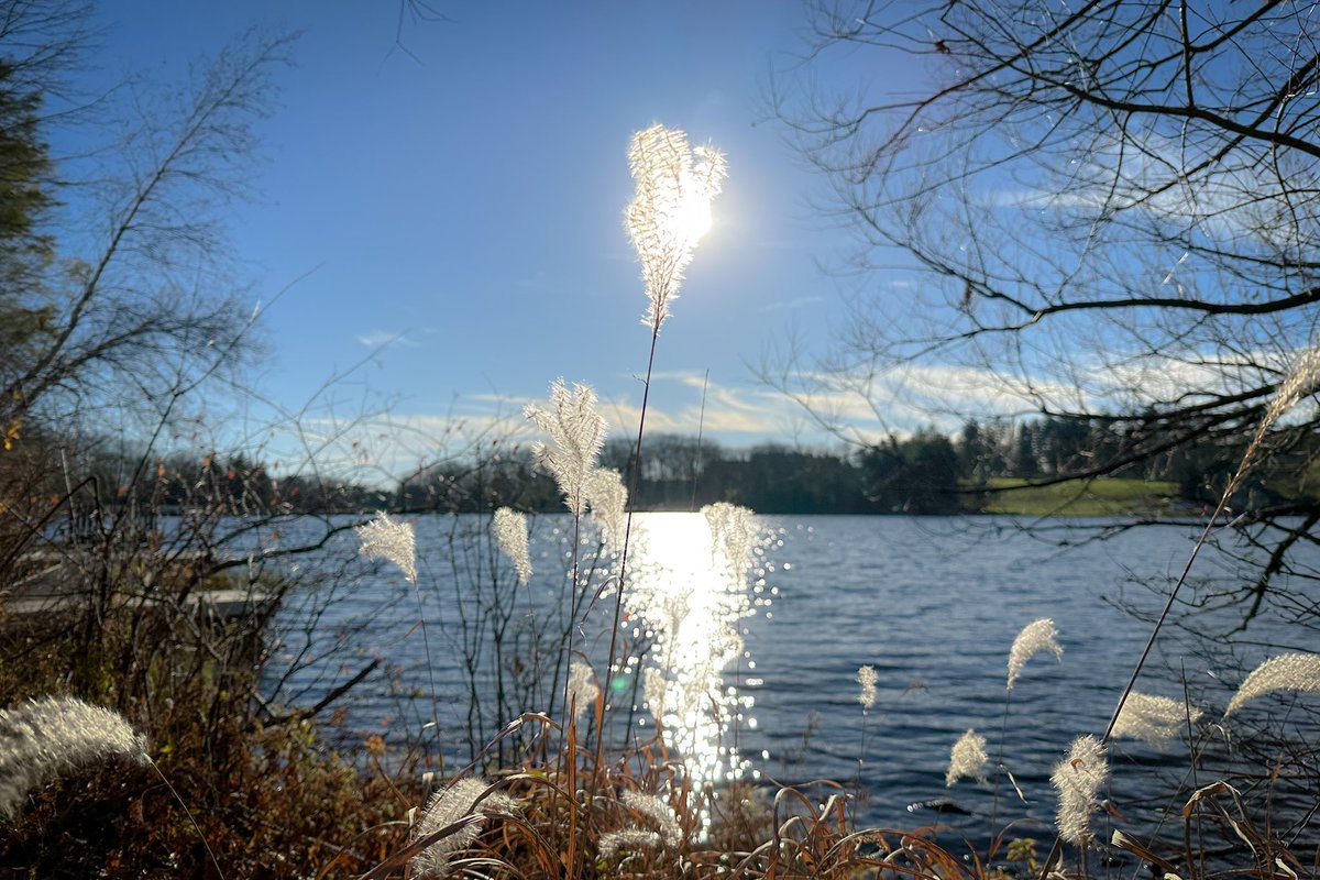 Victor Leung tweet media