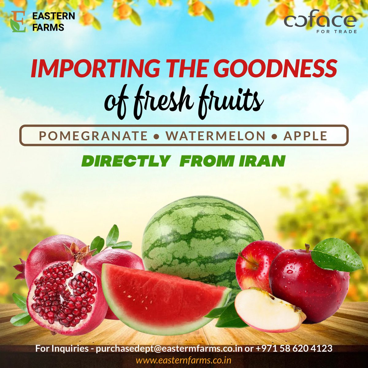 Importing the goodness of fresh fruits from IRAN ✔️

Mobile: +971 58 620 4123
E-mail: purchasedept@easternfarms.co.in

#pomegranate #watermelon #apple #dubaiimporters #iran #fruits #easternfarmsllc #import #bestquality