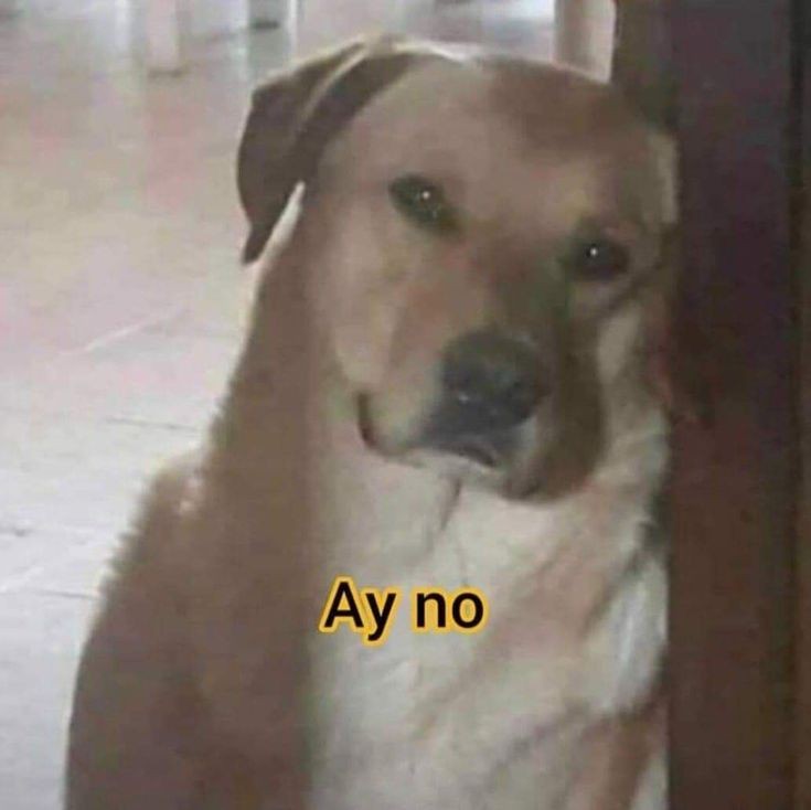 Cuando ya estás como para salir y llueve.
-