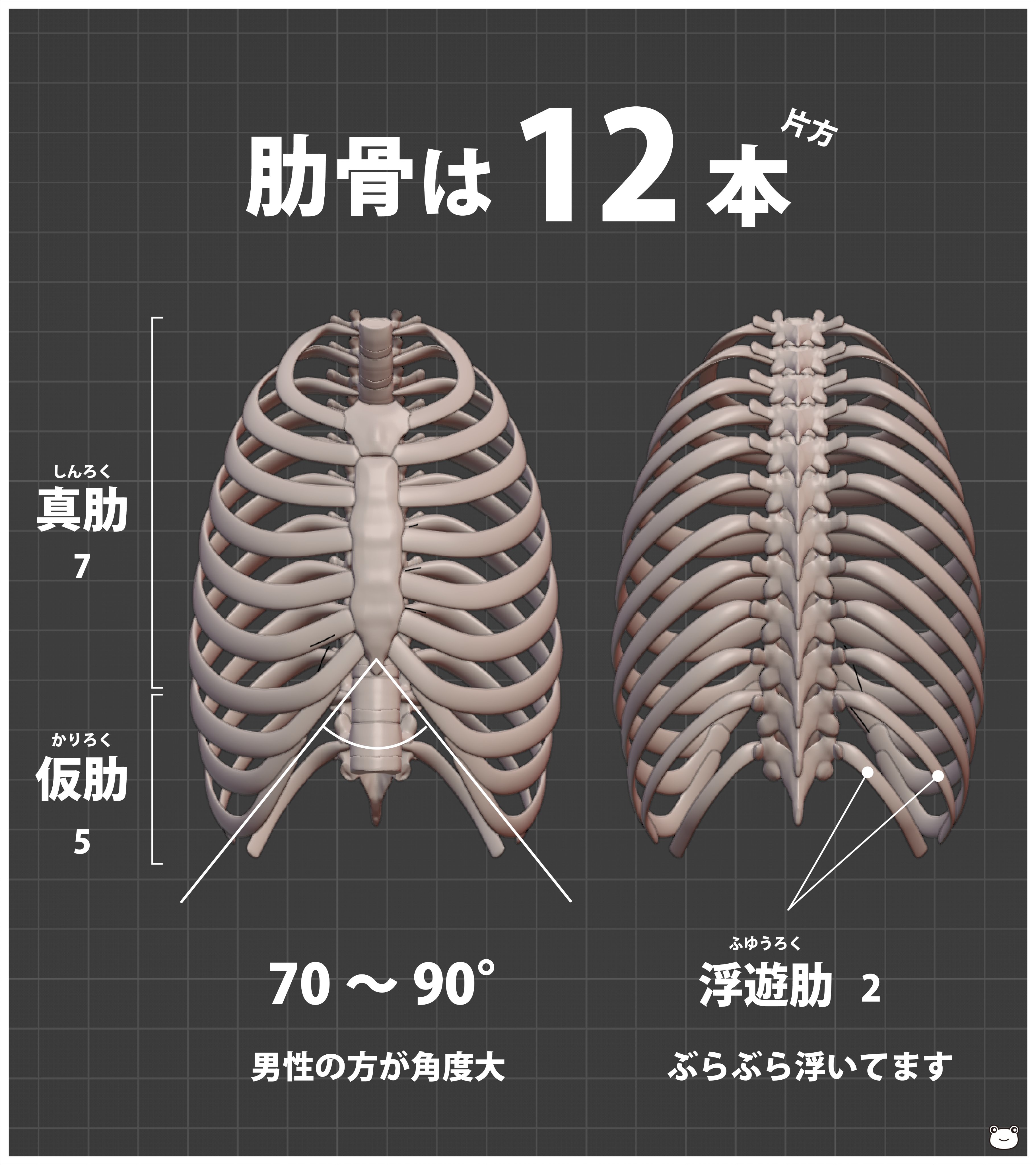 ケロロケ CG Anatomy on X: 