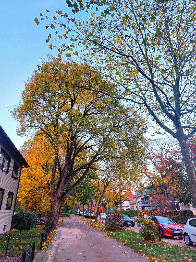 Jeruszkat Rosmaida tweet media