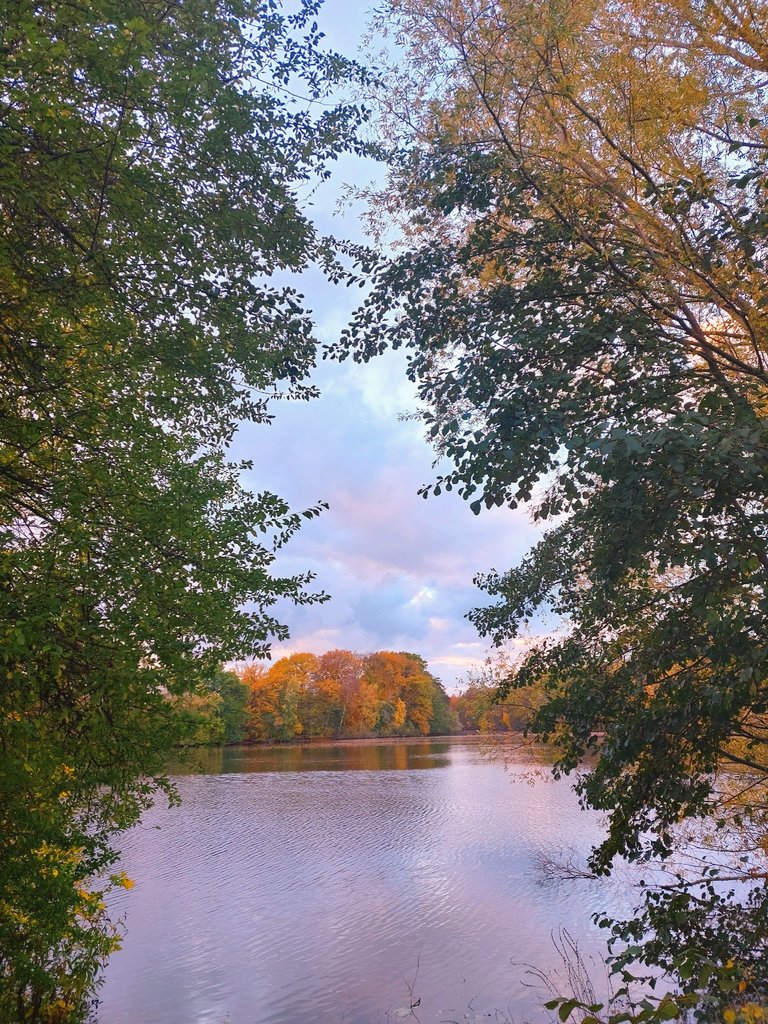 Jeruszkat Rosmaida tweet media