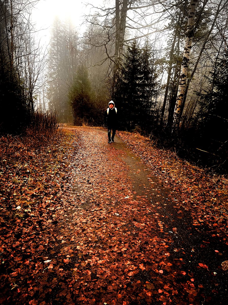 Jhonier_Col's tweet photo. El otoño ya casi termina / Høsten er snart over 🍁 https://t.co/LpnzPuxdiZ
