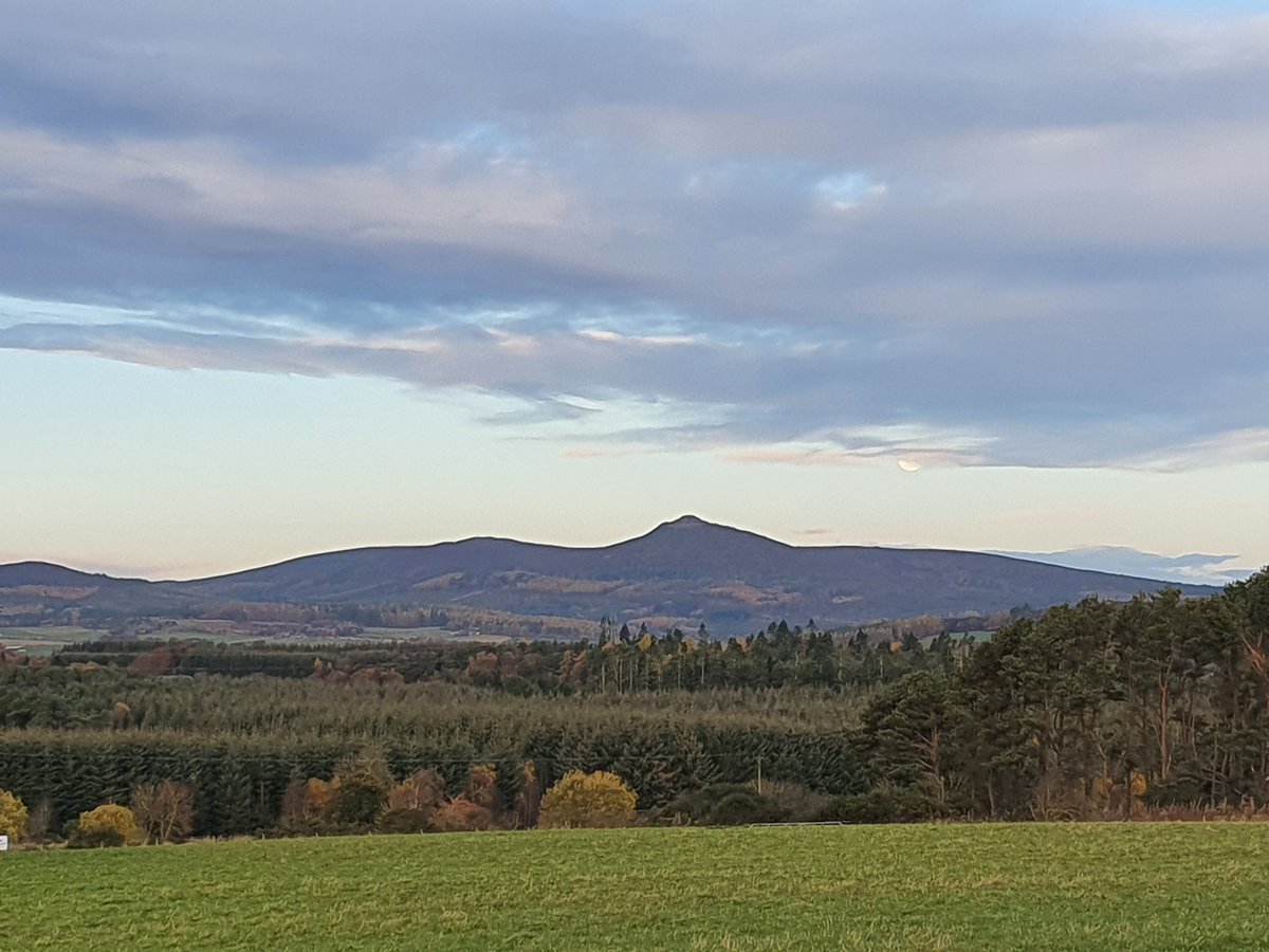 Daily_Bennachie's tweet photo. 08:19
9th November 2022 https://t.co/ztHzSyqTNU