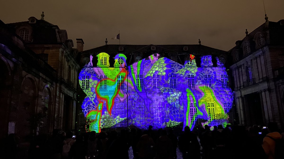 Fantazy from a ZYGOTE. The video mapping on the theme of embryology was truly a wonderful and creative fusion of science and art. I was very impressed!

#NewFrontiersDevBio #StrasbourgLumiereBio #SFDB2022JSDBmeeting #HFSPNewFrontiersDevBio