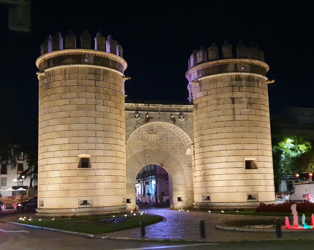 Newcotiana tweet media