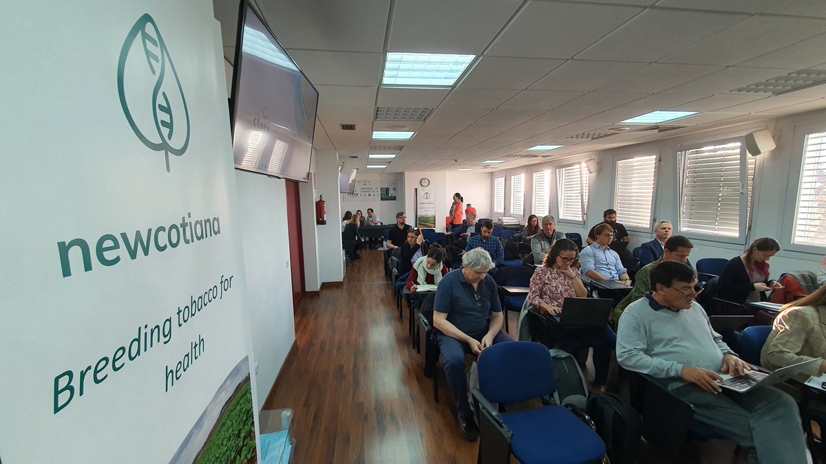 Newcotiana tweet media