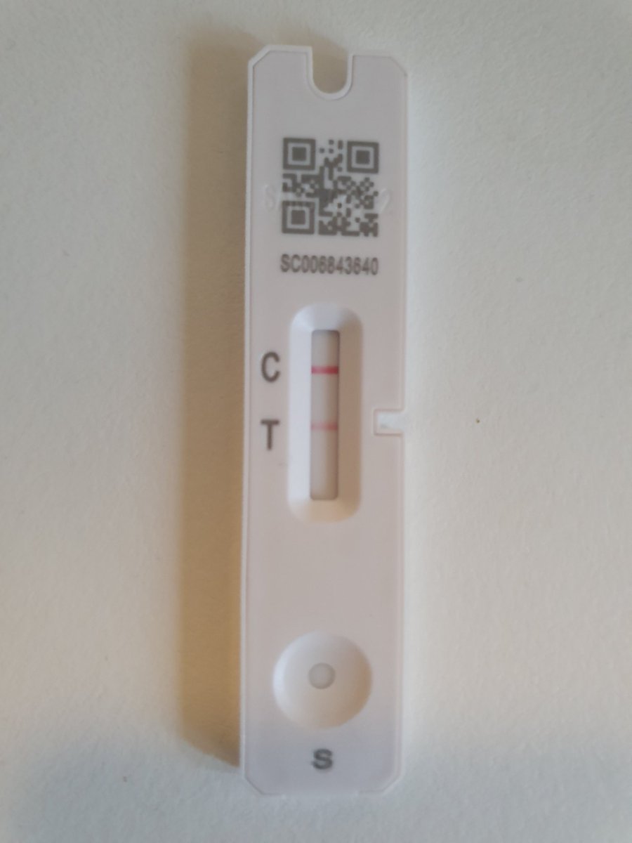 Dr. Pinkeee👩‍💻@DrPinkeee@assemblag.es tweet media