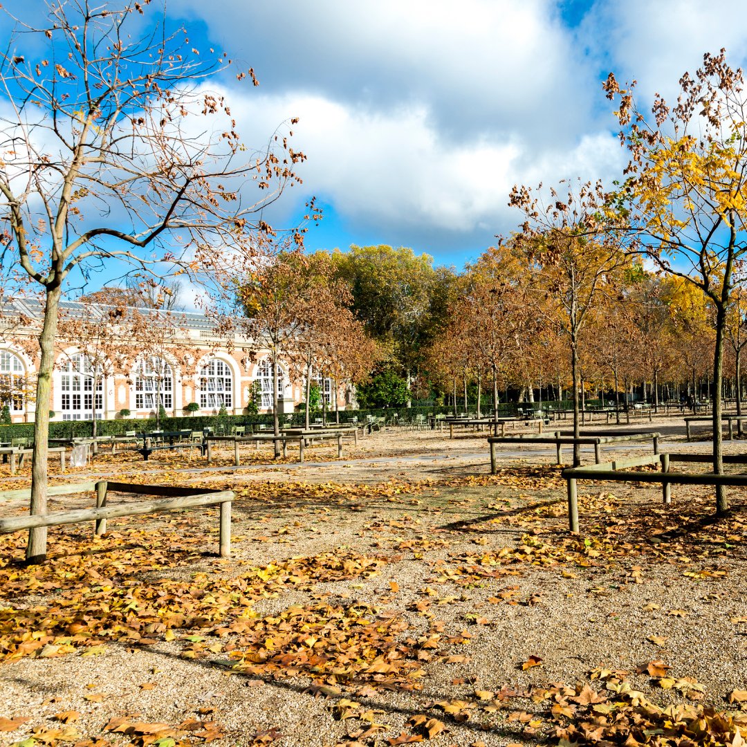 MeetingFr's tweet photo. What if you could come to France in fall to discover its colorful gardens such as the Luxembourg Garden.
🌿Our guide will let you discover the French gardens, the English gardens, the Medicis fountain, the quincunxes as well as some remarkable trees.
Have you visited it before?🤩 https://t.co/Vp9NyTaxSx