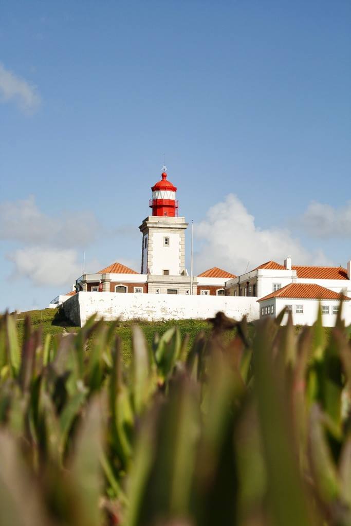 Serial Pix tweet media