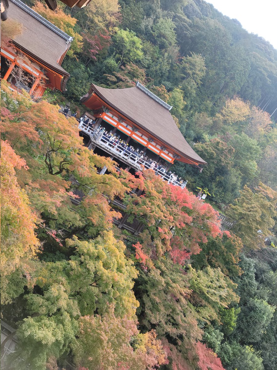 A0120123's tweet photo. 紅葉めちゃくちゃ綺麗だった…！
食べ歩きも美味しすぎた
きょーとしか勝たん👊👊 https://t.co/nkhAFHhehS