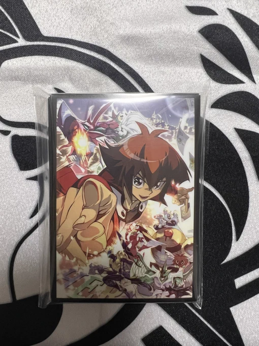 スリーブの実物⑤ 