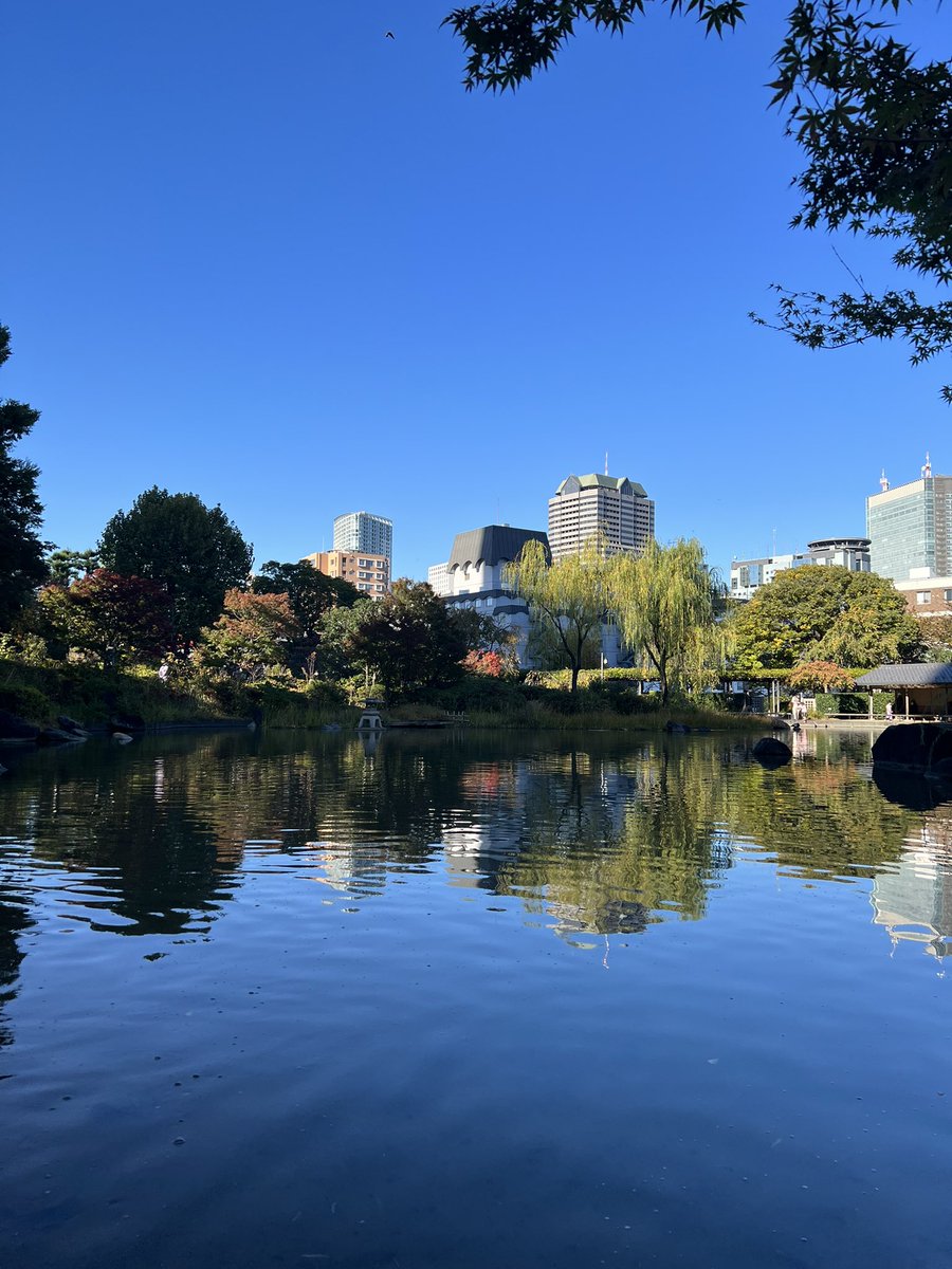 _almostlost's tweet image. 📍 Tokyo, Japan