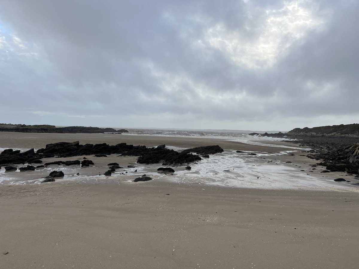 dtbarron's tweet photo. Seems an eminently sensible place to spends some time ahead of this morning’s clinical &amp; care governance meeting 😊 🐶 @Pollybird1 @IanCMBE @mcdocherty @Sparklystar55 #keepactive #newfie #fleetbay https://t.co/kHwYzGgDLv