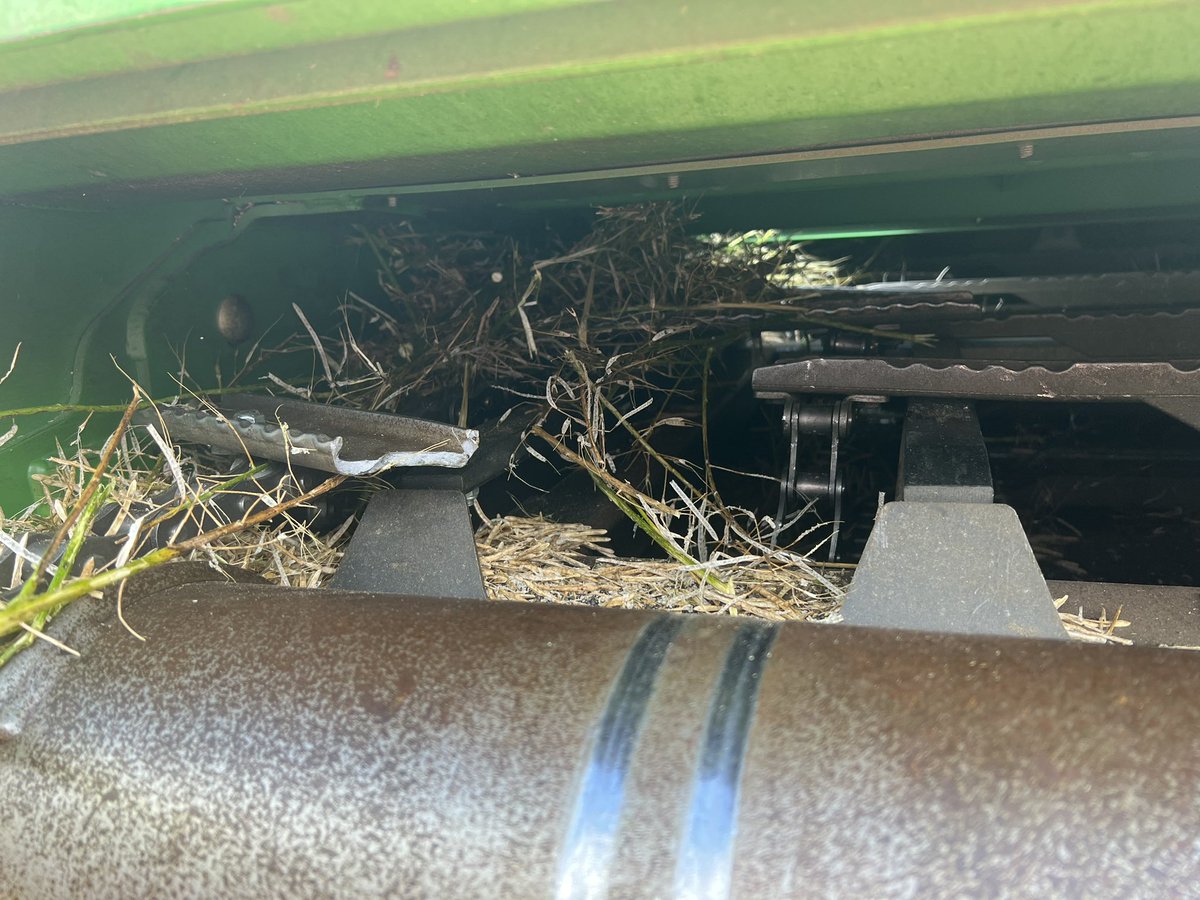 Barry Haskins tweet media