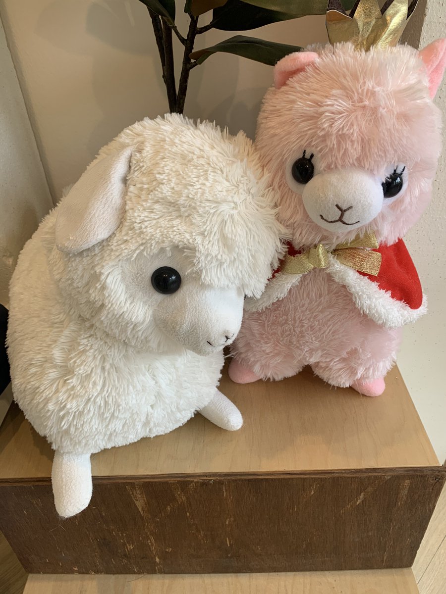 conaaa's tweet photo. ขอให้เป็น 23 ขวบที่ดีและสดใสของมามิ้งค์นะคะ คาเฟ่น่ารักมากๆเลยค่ะ ขอบคุณทีมงานทุกท่านที่จัดนะคะ 😊💜
#น้องมามิ้งค์3ขวบบวก20 
#MarsSmile
#MarminkCGM48 https://t.co/tkhElO5UNY