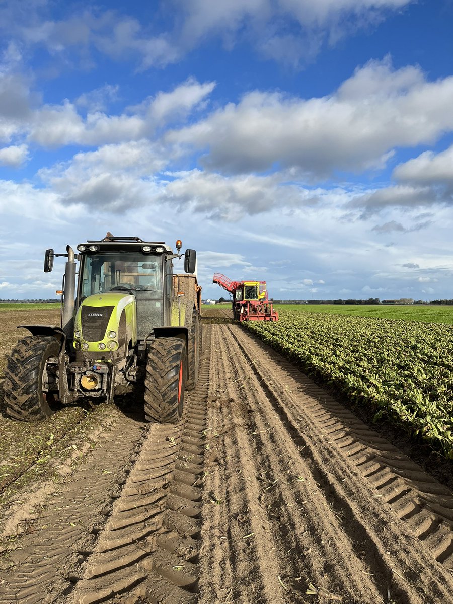 Jeffrey Mul tweet media