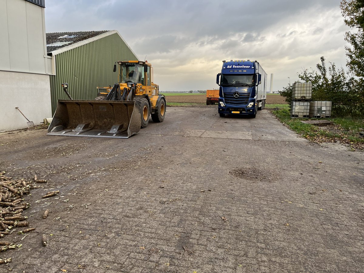 Jeffrey Mul tweet media