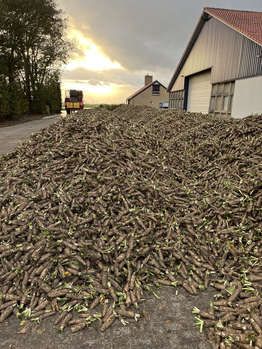 Jeffrey Mul tweet media