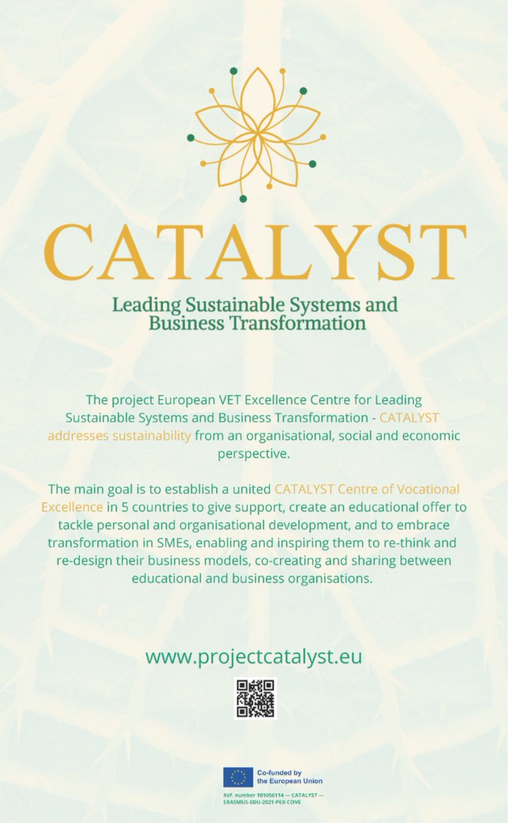 CATALYSTProjec4's tweet photo. Project CATALYST is all about tackling personal &amp; organisational development, embracing transformation in SMEs, in order to re-think and re-design their business models, so as co-creating and sharing between educational and business organisations. 
Join us! #catalystproject https://t.co/72eZ3OfqO1