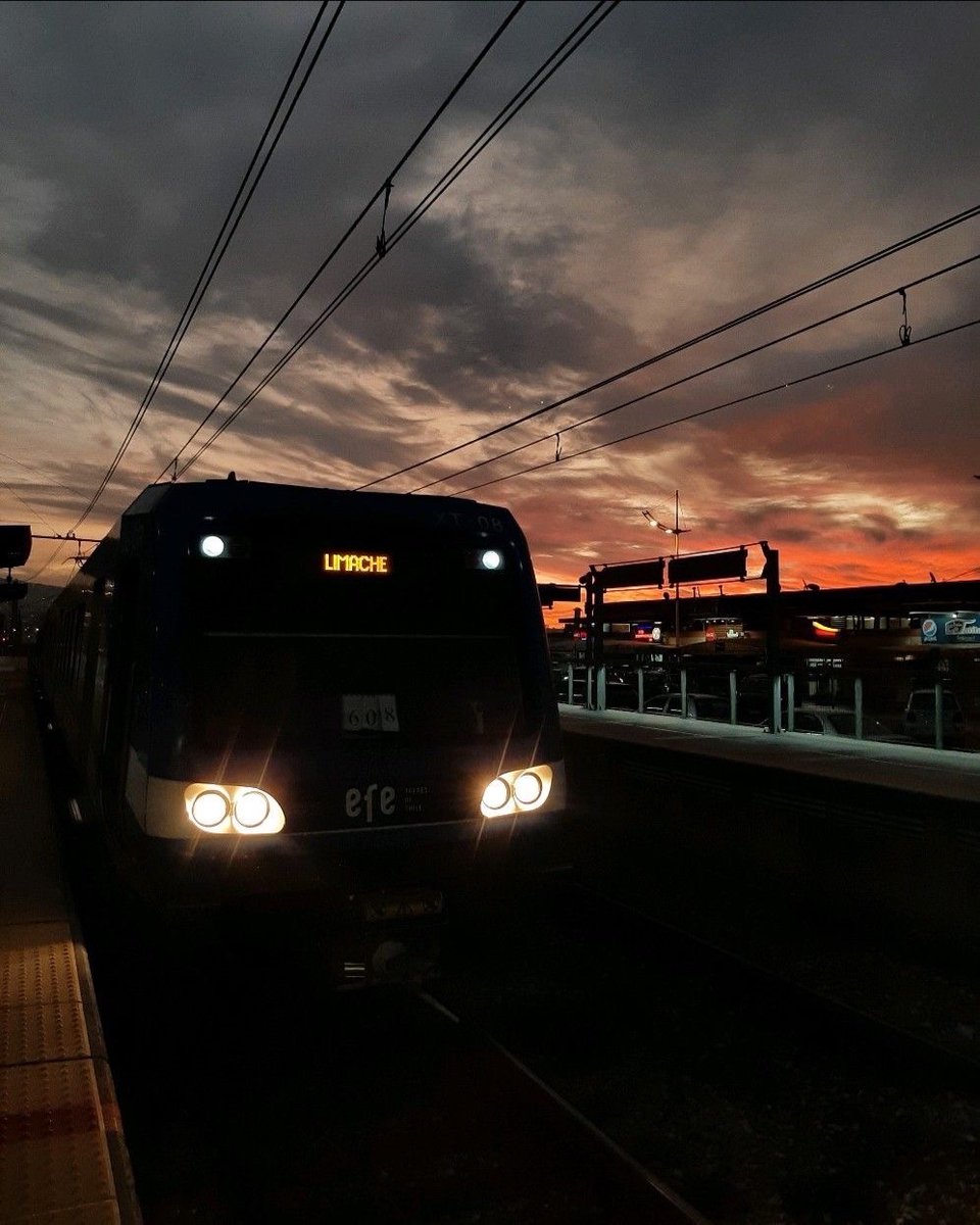 Tren Limache-Puerto tweet media