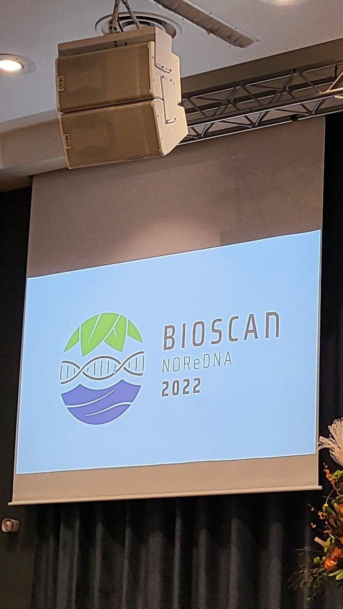 Monica Guilera Recoder tweet media