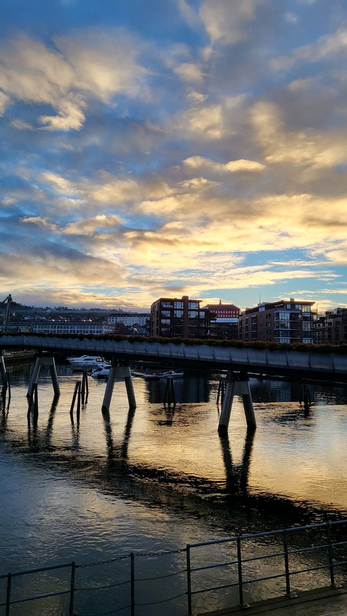 Very happy to have been able to participate both as audience and speaker in #bioscan #NOReDNA host in beautiful Trondheim. Full of very interesting presentations covering eDNA for biodiversity! Still lots to learn!